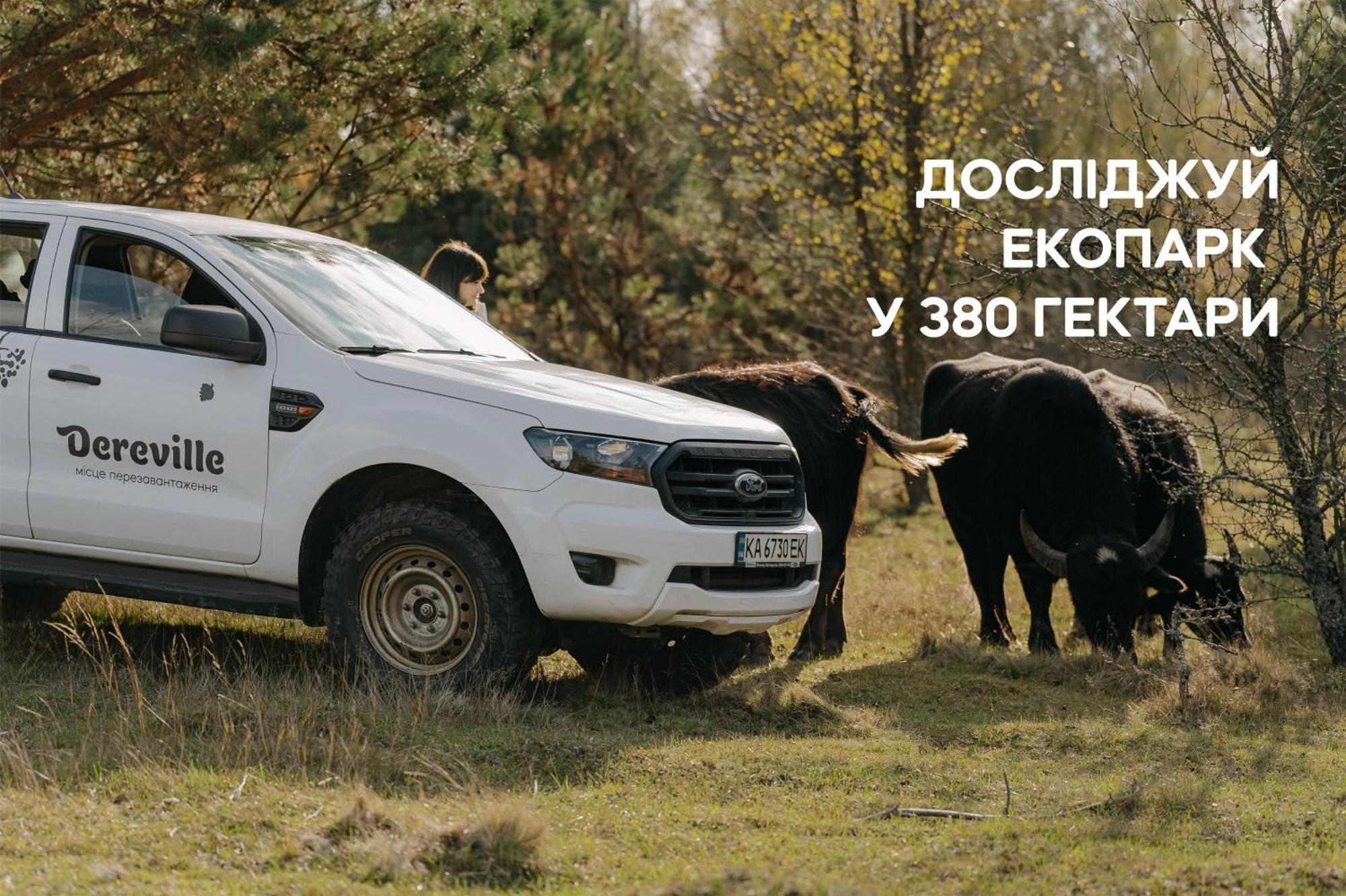 Dereville Sokolovka 部屋 写真